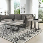 Contemporary Steel 2-Piece Storage Coffee Table