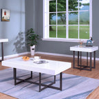 Contemporary Steel 2-Piece Storage Coffee Table