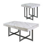 Contemporary Steel 2-Piece Storage Coffee Table