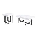 Contemporary Steel 2-Piece Storage Coffee Table