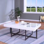 Contemporary Steel 2-Piece Storage Coffee Table