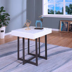 Contemporary Steel 2-Piece Storage Coffee Table